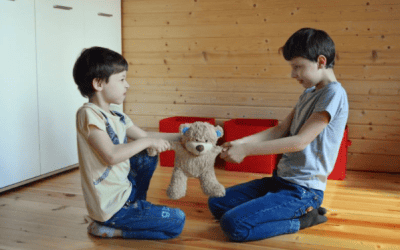 Sibling rivalry-the myth